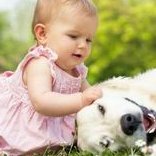 河北地区有哪些私立的机构可以做试管技术？2026河北医科大学第三医院试管婴儿费用大概多少钱？