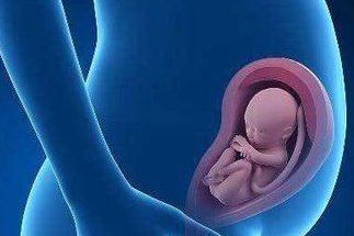 厦门试管费用需要多少？内附厦门试管费用明细！